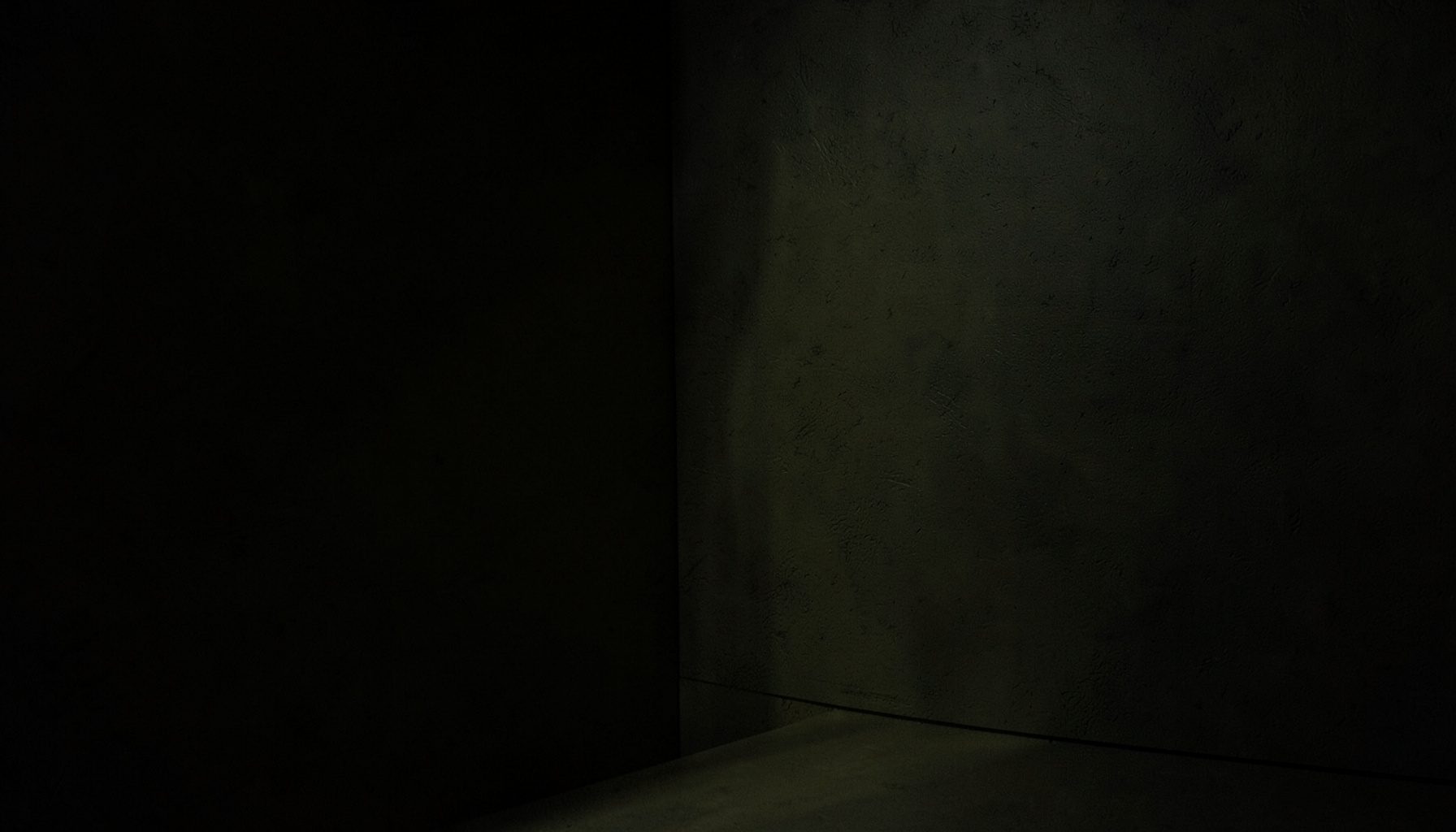 A dark, low-key photograph of textured gallery walls in deep olive and charcoal tones, with soft ambient light revealing subtle surface detail